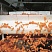 Пластиковая конвейерная лента для сельского хозяйства и пищевой промышленности